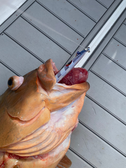 OniWorks Navigator: A Versatile Fishing Jig for All Seasons